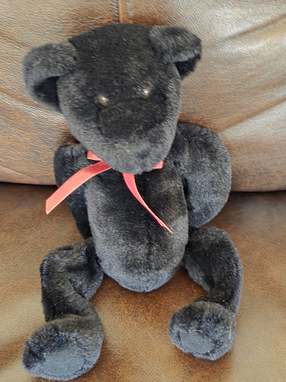 Small Black Bear.
